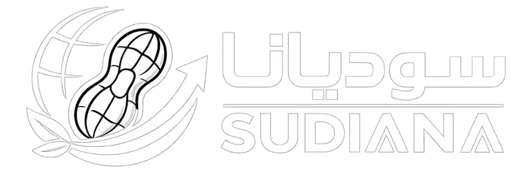 sudiana.net